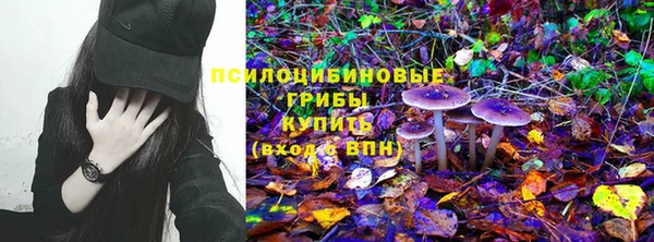 прущая мука Нея
