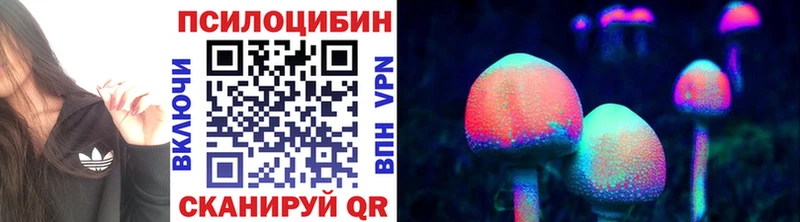 Галлюциногенные грибы Magic Shrooms  как найти   Кущёвская 